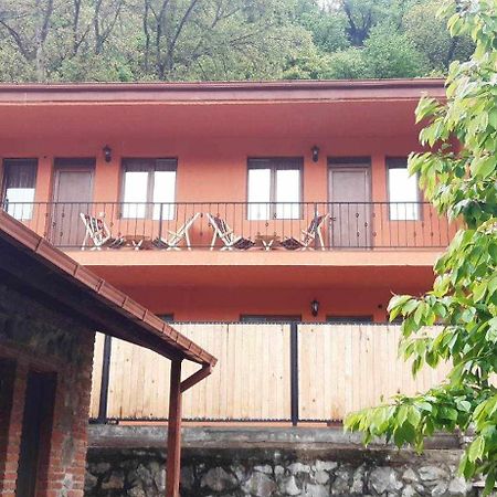 Guest House Borjomula Borjomi Εξωτερικό φωτογραφία